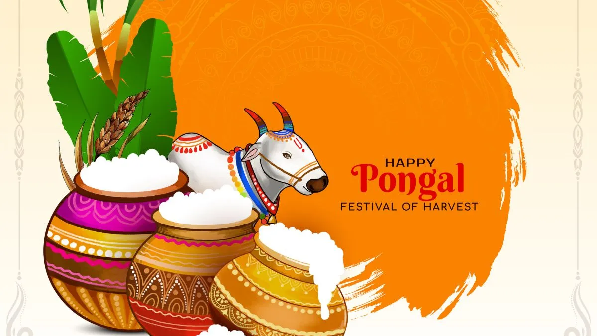 Pongal festival